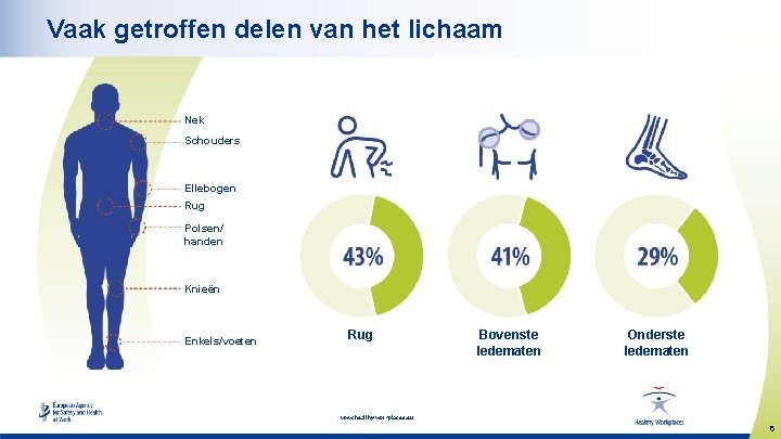 Vaak getroffen delen van het lichaam Nek Schouders Ellebogen Rug Polsen/ handen Knieën Enkels/voeten