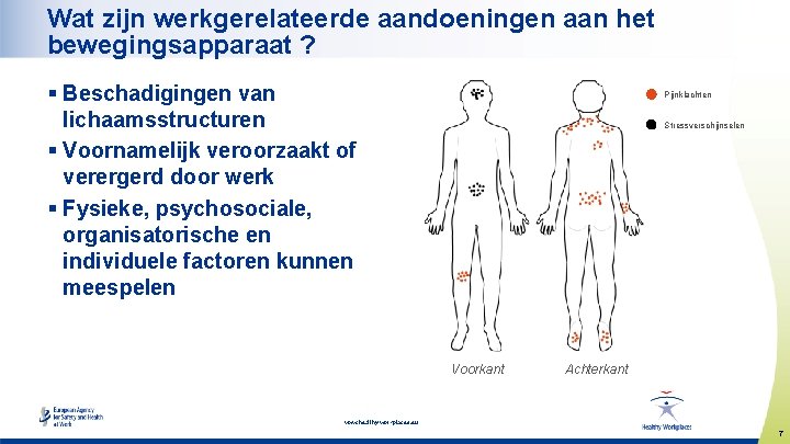 Wat zijn werkgerelateerde aandoeningen aan het bewegingsapparaat ? § Beschadigingen van lichaamsstructuren § Voornamelijk