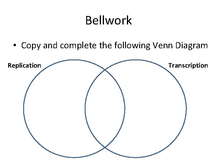 Bellwork • Copy and complete the following Venn Diagram Replication Transcription 