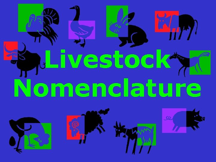 Livestock Nomenclature 