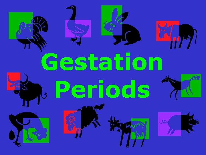 Gestation Periods 