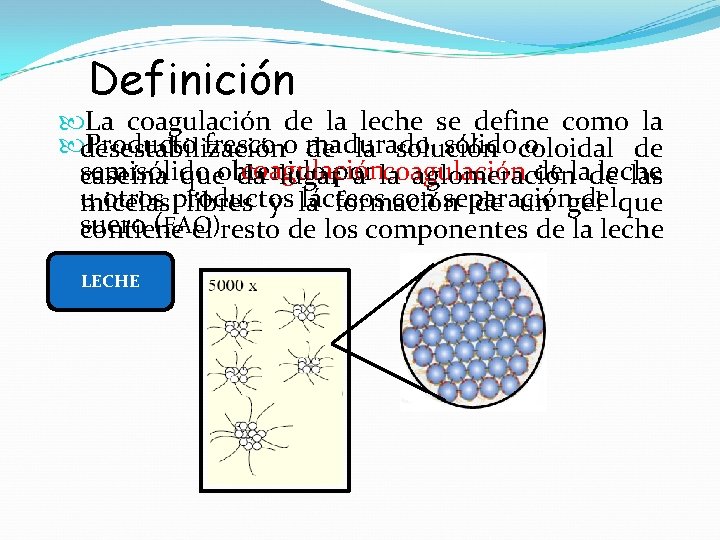 Definición La coagulación de la leche se define como la desestabilización Producto fresco o