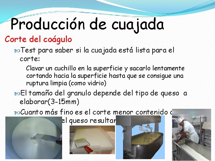Producción de cuajada Corte del coágulo Test para saber si la cuajada está lista