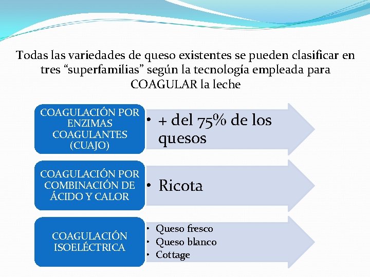 Todas las variedades de queso existentes se pueden clasificar en tres “superfamilias” según la