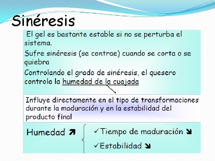 Sinéresis 