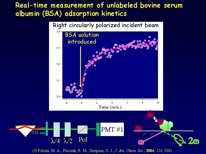 Real-time measurement of unlabeled bovine serum albumin (BSA) adsorption kinetics Right circularly polarized incident