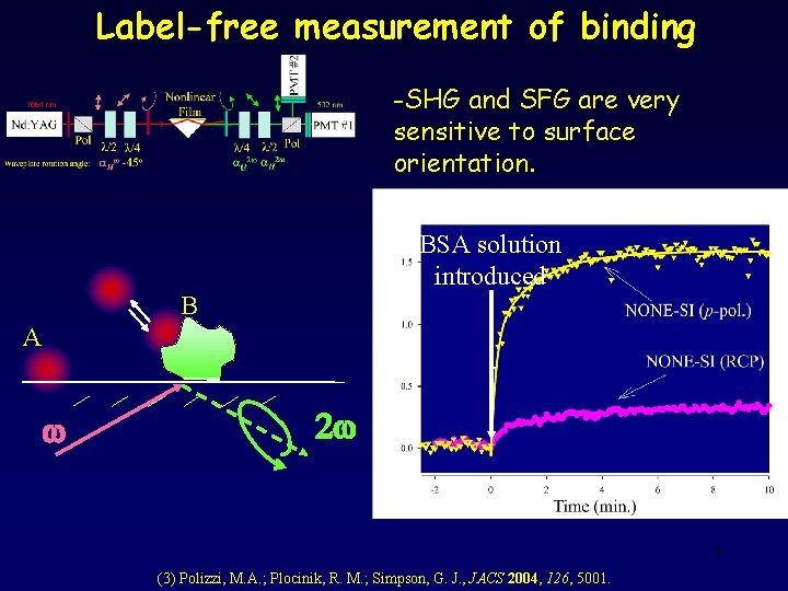 Label-free measurement of binding -SHG and SFG are very sensitive to surface orientation. BSA