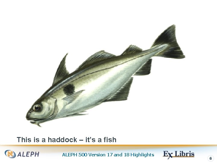 This is a haddock – it’s a fish ALEPH 500 Version 17 and 18