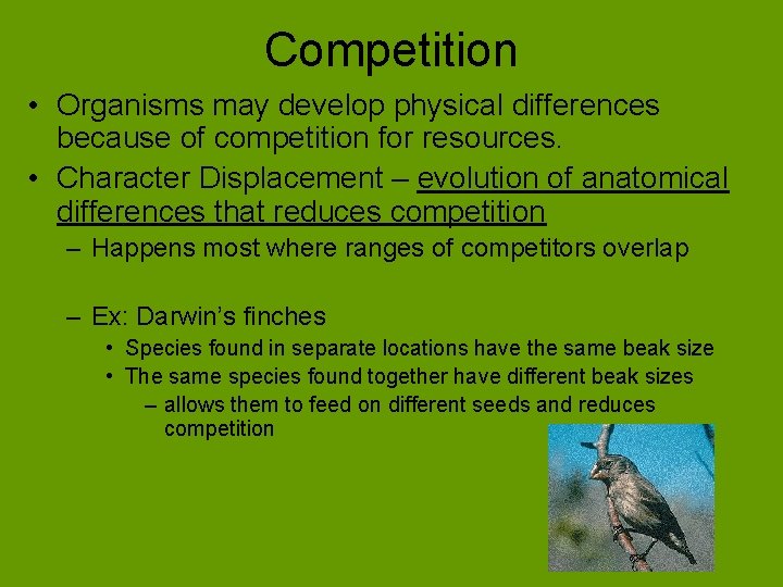 Competition • Organisms may develop physical differences because of competition for resources. • Character