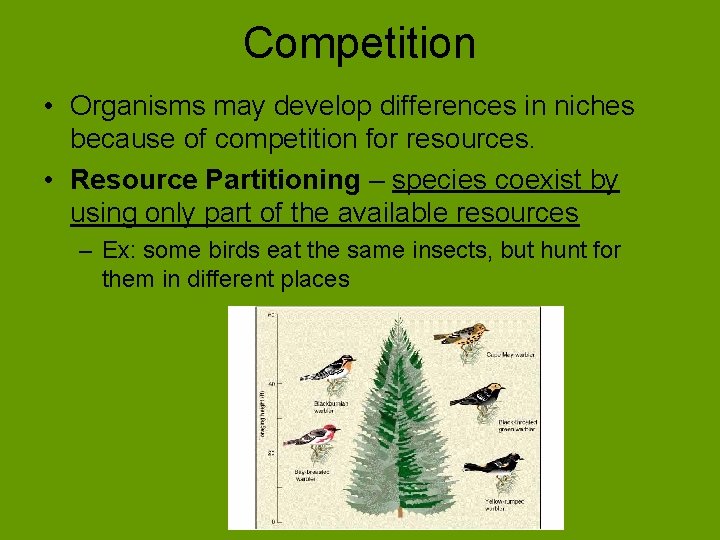 Competition • Organisms may develop differences in niches because of competition for resources. •