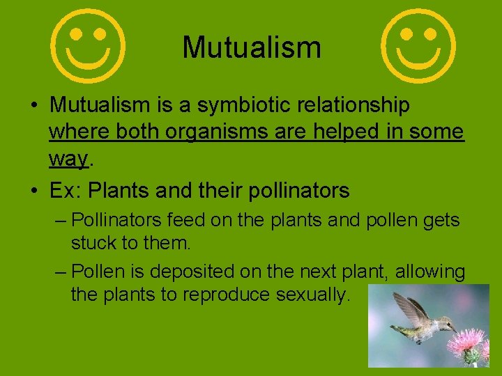 Mutualism • Mutualism is a symbiotic relationship where both organisms are helped in some