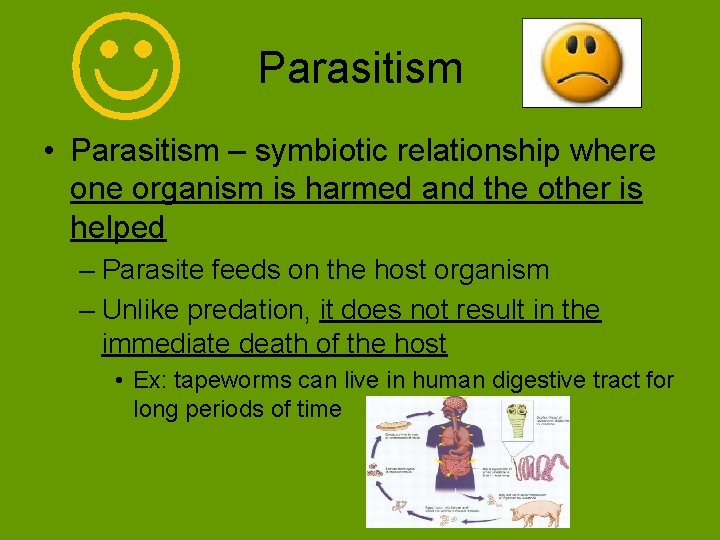 Parasitism • Parasitism – symbiotic relationship where one organism is harmed and the other