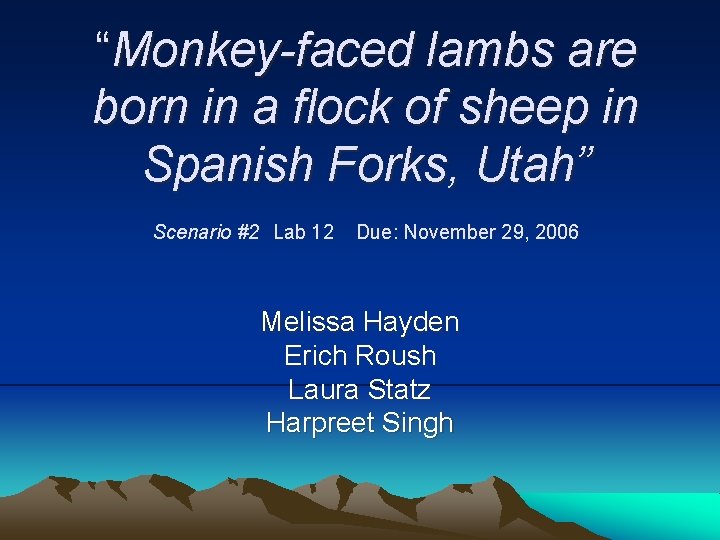 “Monkey-faced lambs are born in a flock of sheep in Spanish Forks, Utah” Scenario