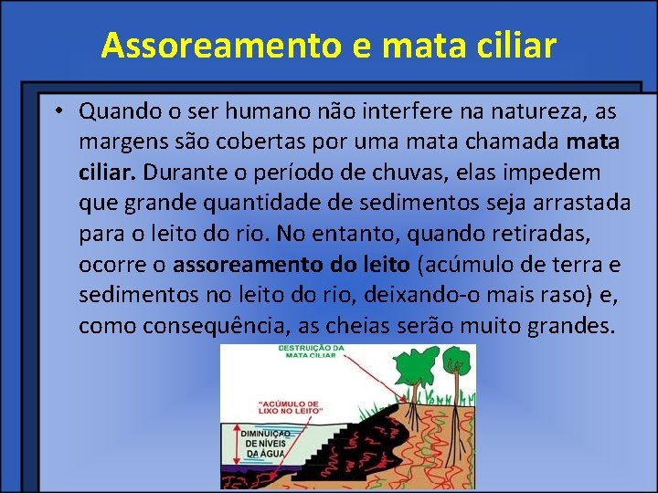 Assoreamento e mata ciliar • Quando o ser humano não interfere na natureza, as