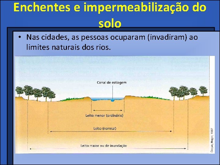 Enchentes e impermeabilização do solo • Nas cidades, as pessoas ocuparam (invadiram) ao limites