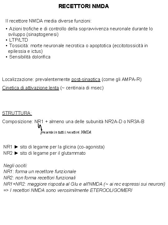 RECETTORI NMDA Il recettore NMDA media diverse funzioni: • Azioni trofiche e di controllo