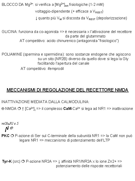 BLOCCO DA Mg 2+: si verifica a [Mg 2+]ext fisiologiche (1 -2 m. M)