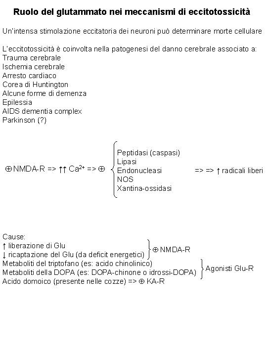 Ruolo del glutammato nei meccanismi di eccitotossicità Un’intensa stimolazione eccitatoria dei neuroni può determinare