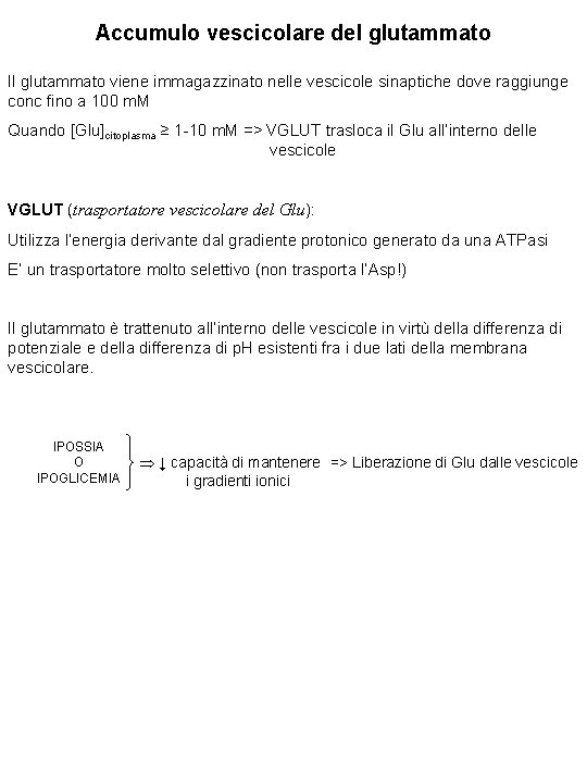 Accumulo vescicolare del glutammato Il glutammato viene immagazzinato nelle vescicole sinaptiche dove raggiunge conc