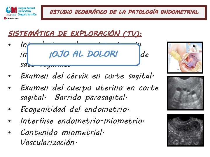ESTUDIO ECOGRÁFICO DE LA PATOLOGÍA ENDOMETRIAL SISTEMÁTICA DE EXPLORACIÓN (TV): • • • Introducir