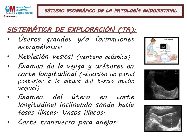 ESTUDIO ECOGRÁFICO DE LA PATOLOGÍA ENDOMETRIAL SISTEMÁTICA DE EXPLORACIÓN (TA): • • • Úteros