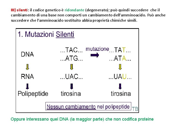 III) silenti: il codice genetico è ridondante (degenerato); può quindi succedere che il cambiamento