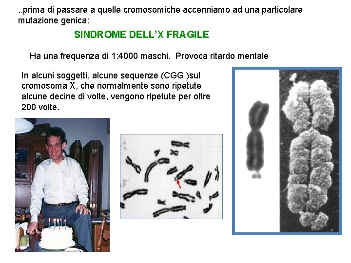 . . prima di passare a quelle cromosomiche accenniamo ad una particolare mutazione genica: