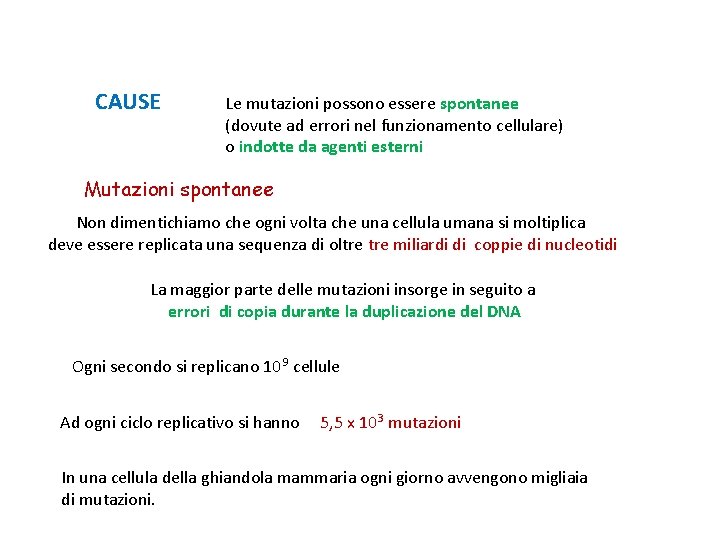 CAUSE Le mutazioni possono essere spontanee (dovute ad errori nel funzionamento cellulare) o indotte
