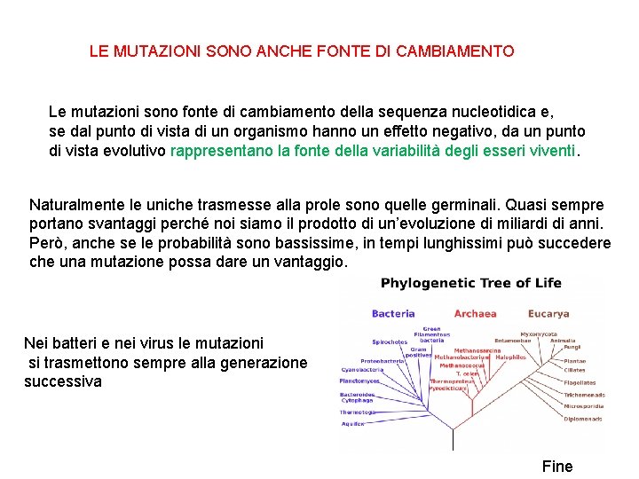 LE MUTAZIONI SONO ANCHE FONTE DI CAMBIAMENTO Le mutazioni sono fonte di cambiamento della