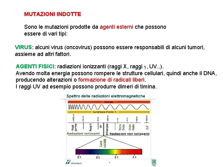 MUTAZIONI INDOTTE Sono le mutazioni prodotte da agenti esterni che possono essere di vari