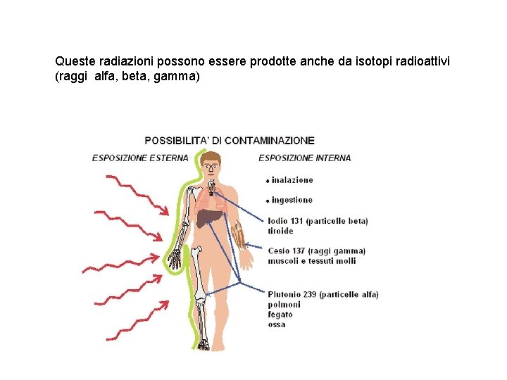 Queste radiazioni possono essere prodotte anche da isotopi radioattivi (raggi alfa, beta, gamma) 