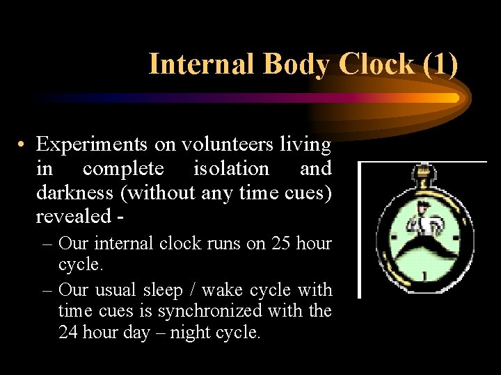 Internal Body Clock (1) • Experiments on volunteers living in complete isolation and darkness
