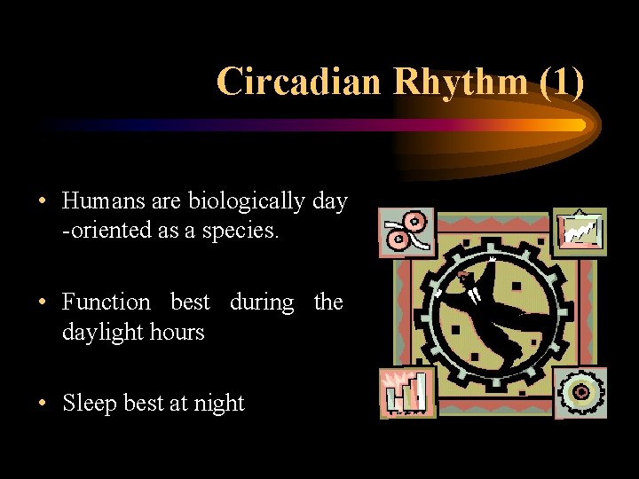 Circadian Rhythm (1) • Humans are biologically day -oriented as a species. • Function
