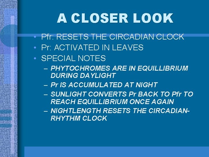 A CLOSER LOOK • Pfr: RESETS THE CIRCADIAN CLOCK • Pr: ACTIVATED IN LEAVES