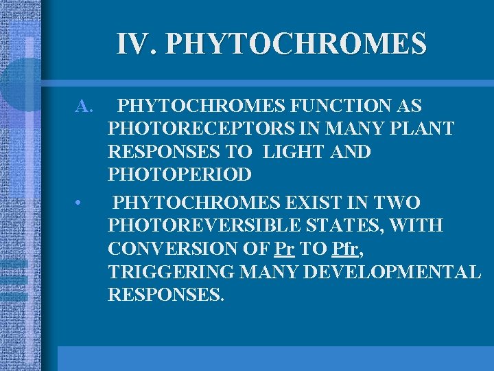 IV. PHYTOCHROMES A. • PHYTOCHROMES FUNCTION AS PHOTORECEPTORS IN MANY PLANT RESPONSES TO LIGHT
