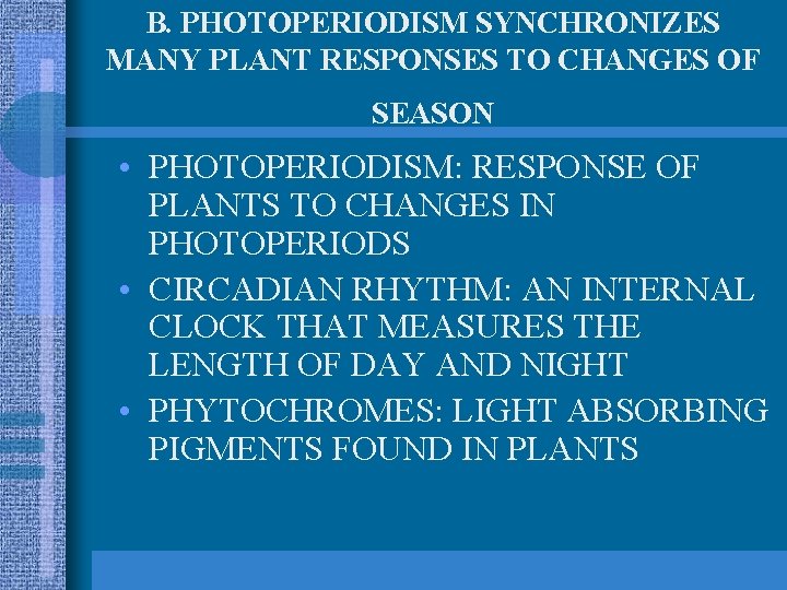 B. PHOTOPERIODISM SYNCHRONIZES MANY PLANT RESPONSES TO CHANGES OF SEASON • PHOTOPERIODISM: RESPONSE OF
