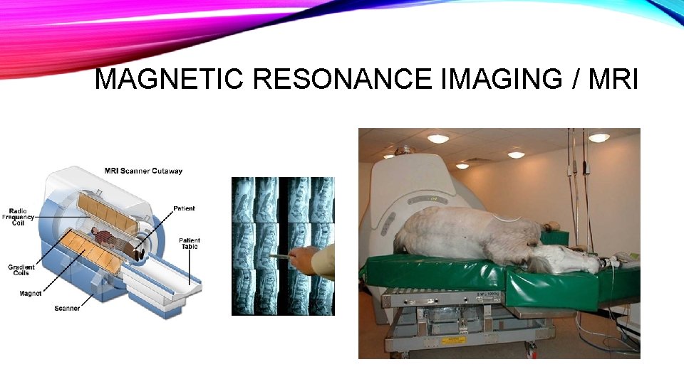 MAGNETIC RESONANCE IMAGING / MRI MAGNETIC RESONANCE IMAGING / MRI