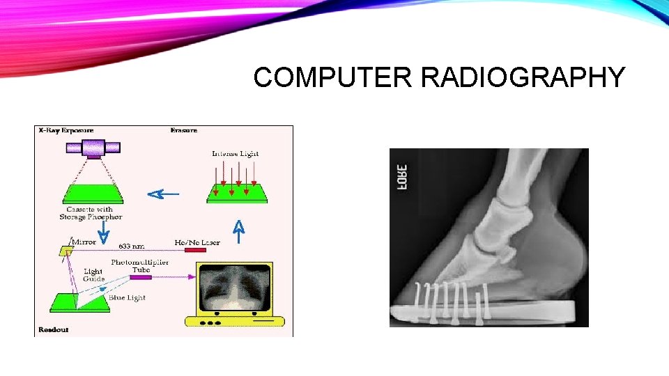 RADIOLOGY NEXT GENERATION SCIENCE COMMON CORE STANDARDS ADDRESSED