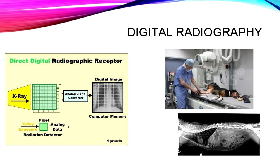DIGITAL RADIOGRAPHY DIGITAL RADIOGRAPHY