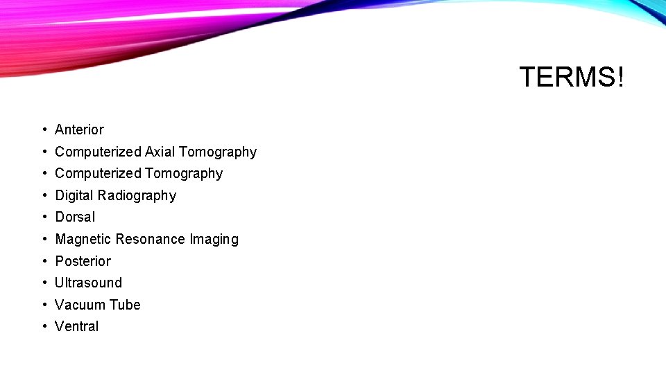 TERMS! • Anterior • Computerized Axial Tomography • Computerized Tomography • Digital Radiography • TERMS! • Anterior • Computerized Axial Tomography • Computerized Tomography • Digital Radiography •