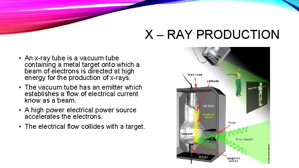 X – RAY PRODUCTION • An x-ray tube is a vacuum tube containing a X – RAY PRODUCTION • An x-ray tube is a vacuum tube containing a