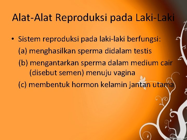 Alat-Alat Reproduksi pada Laki-Laki • Sistem reproduksi pada laki-laki berfungsi: (a) menghasilkan sperma didalam
