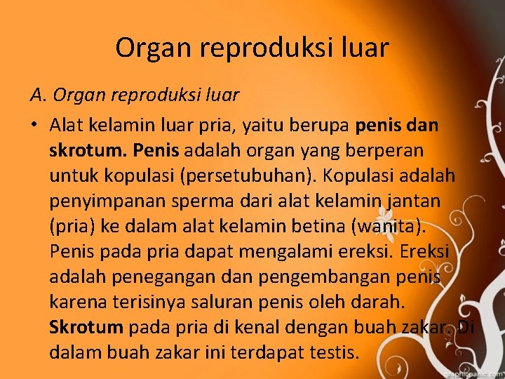 Organ reproduksi luar A. Organ reproduksi luar • Alat kelamin luar pria, yaitu berupa