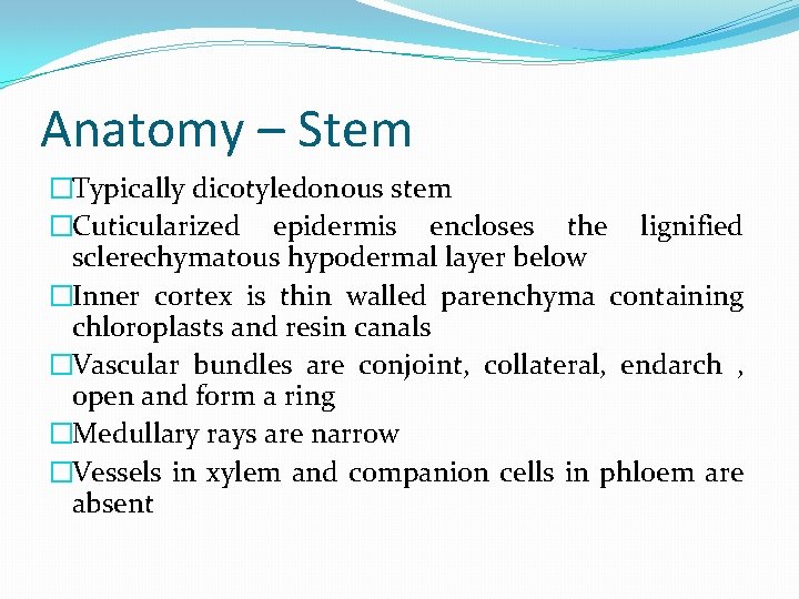 Anatomy – Stem �Typically dicotyledonous stem �Cuticularized epidermis encloses the lignified sclerechymatous hypodermal layer