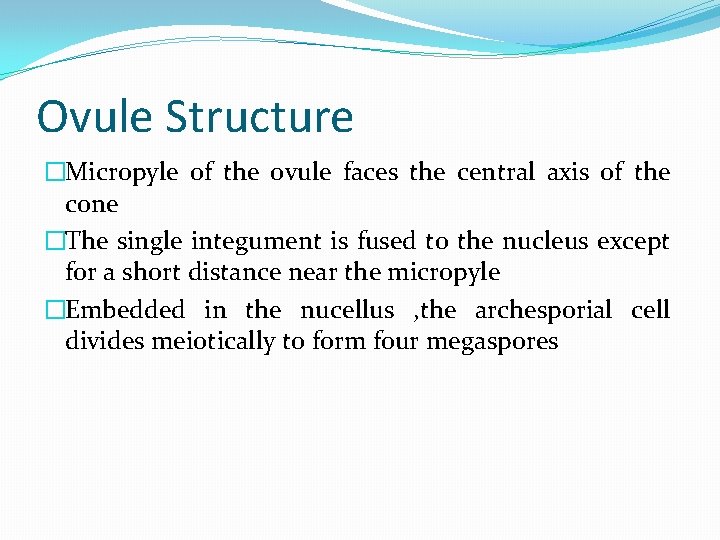 Ovule Structure �Micropyle of the ovule faces the central axis of the cone �The