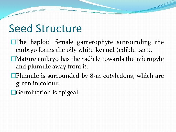 Seed Structure �The haploid female gametophyte surrounding the embryo forms the oily white kernel