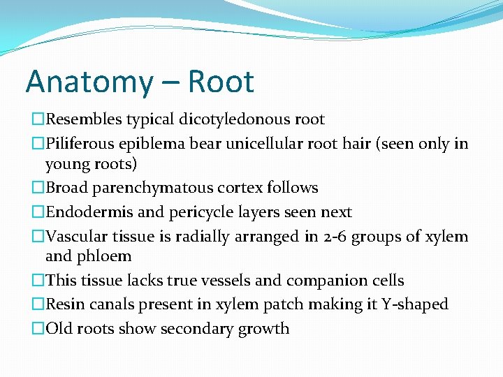 Anatomy – Root �Resembles typical dicotyledonous root �Piliferous epiblema bear unicellular root hair (seen