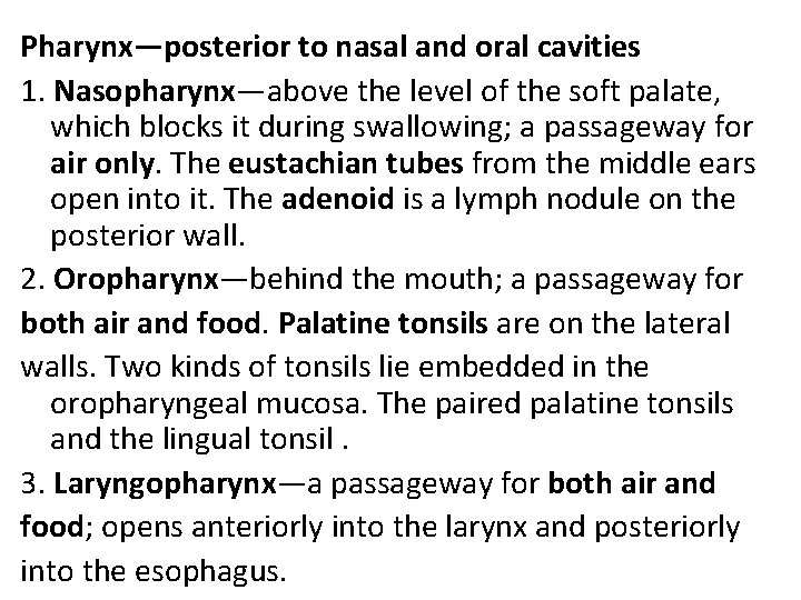 Pharynx—posterior to nasal and oral cavities 1. Nasopharynx—above the level of the soft palate, Pharynx—posterior to nasal and oral cavities 1. Nasopharynx—above the level of the soft palate,