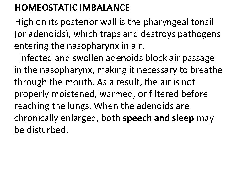  HOMEOSTATIC IMBALANCE High on its posterior wall is the pharyngeal tonsil (or adenoids),