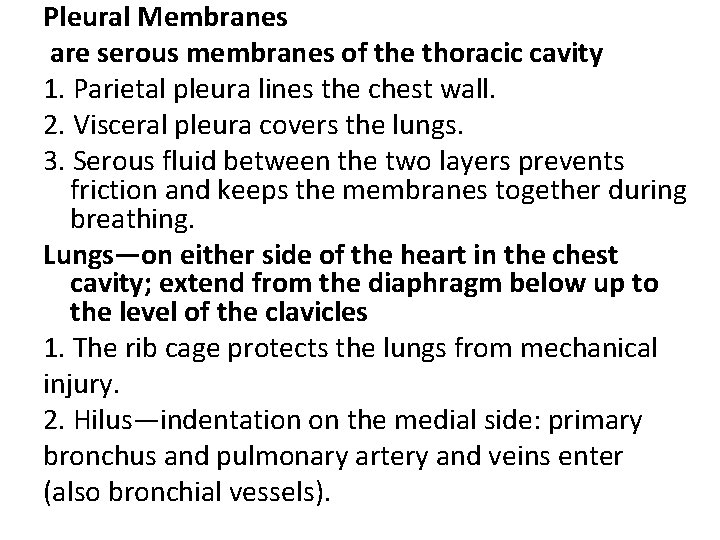 Pleural Membranes are serous membranes of the thoracic cavity 1. Parietal pleura lines the